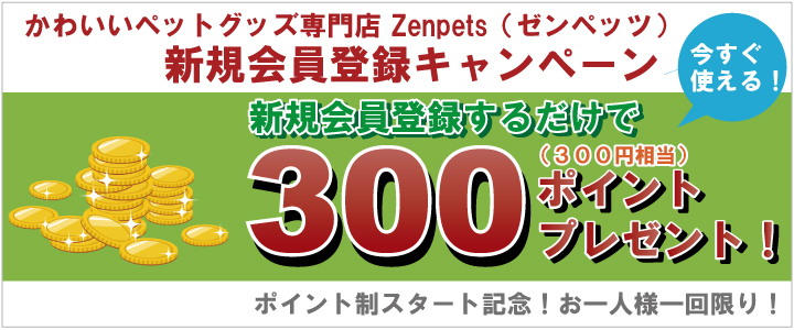 新規会員登録300ポイントプレゼント