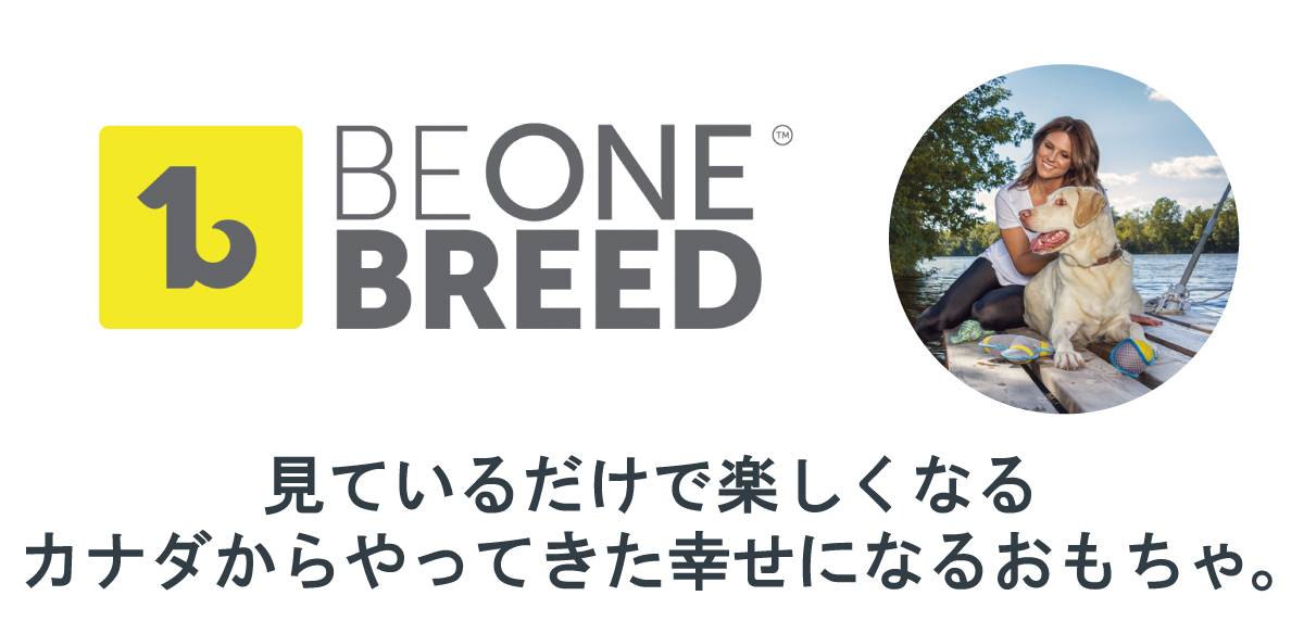 見ているだけで楽しくなるカナダからやってきた幸せになるおもちゃ。