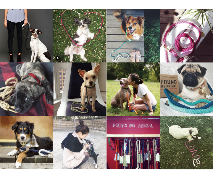 愛犬との楽しい時間を演出してくれることになる商品です。