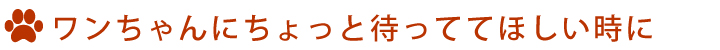 ワンちゃんにちょっと待っててほしい時に