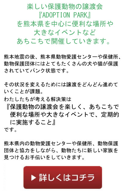 ジョートフル熊本