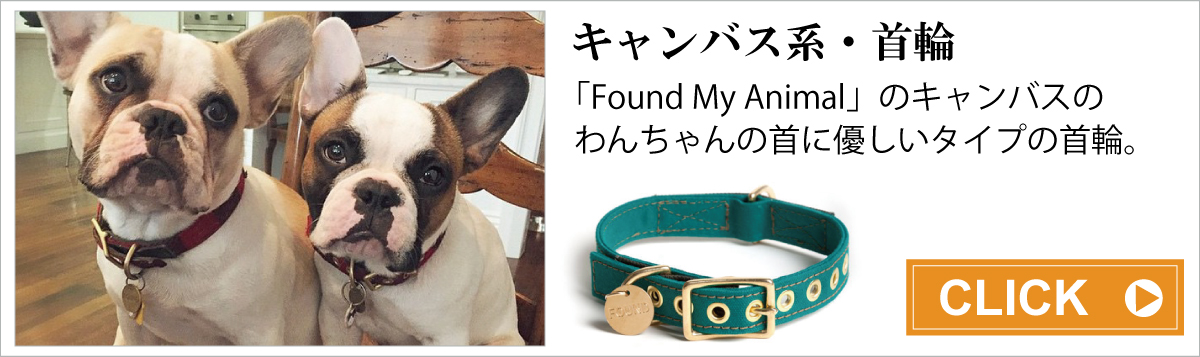 首輪 カラー 犬用グッズ通販専門店 Zenpets