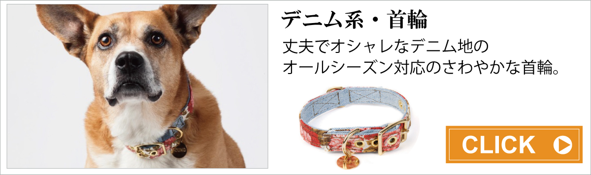 首輪 カラー 犬用グッズ通販専門店 Zenpets