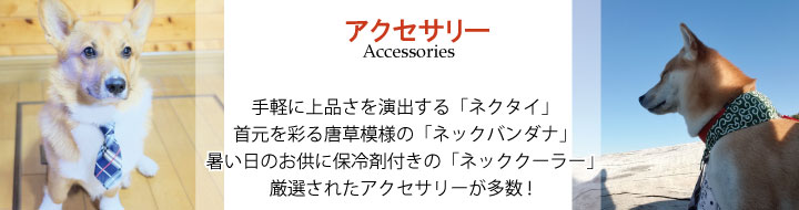 アクセサリー