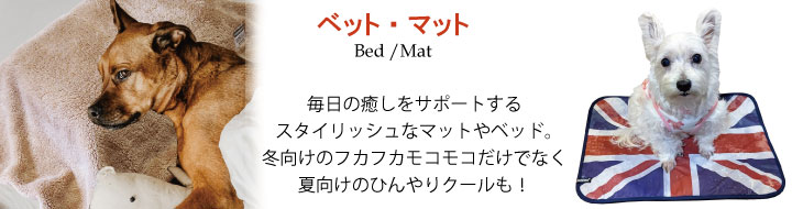 ベッド・マットはこちら