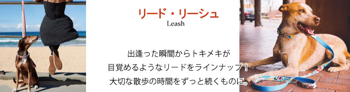 リード リーシュ 犬用グッズ通販専門店 Zenpets リード リーシュ 犬用グッズ通販専門店 Zenpets