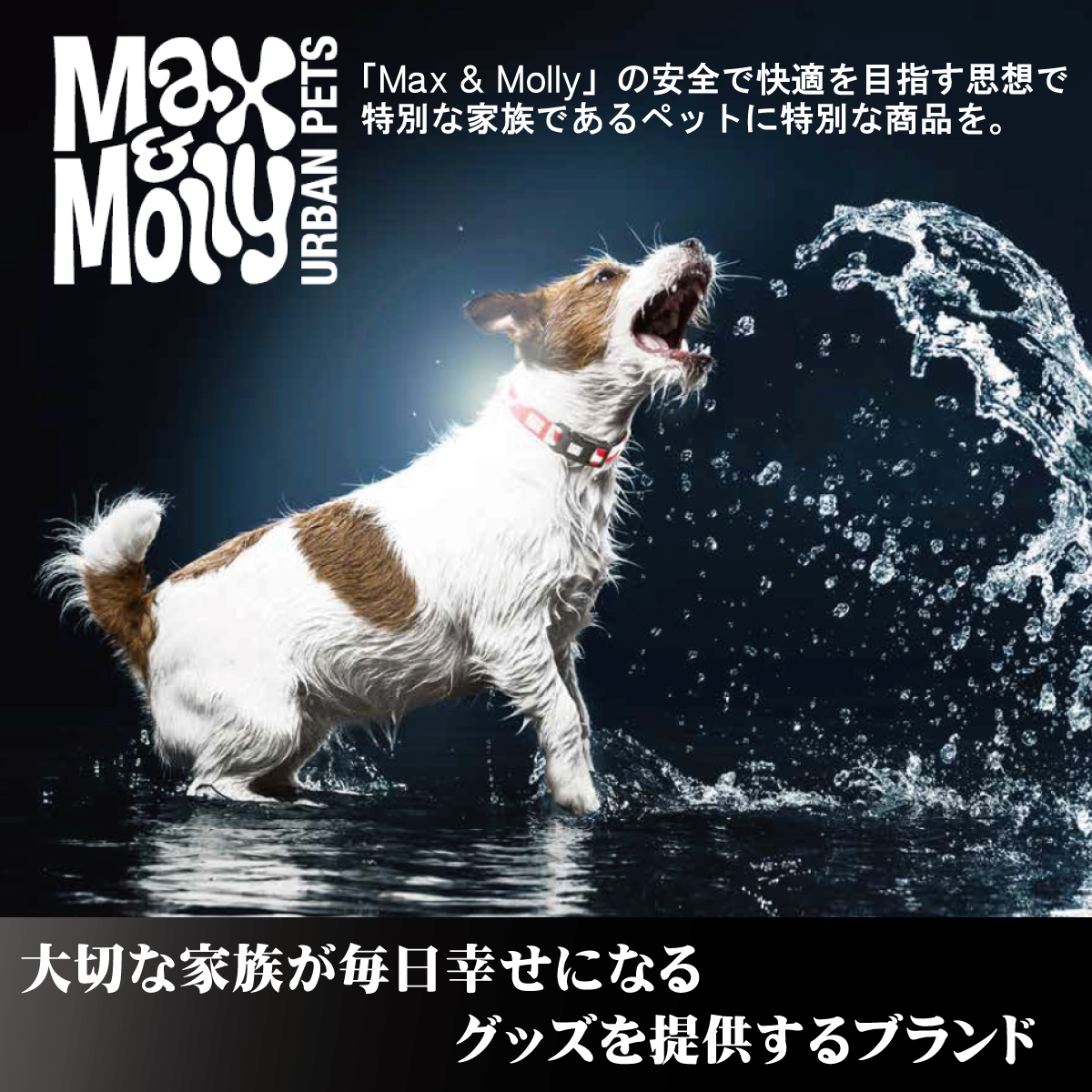 「Max & Molly」の安全で快適を目指す思想で特別な家族であるペットに特別な商品を。
