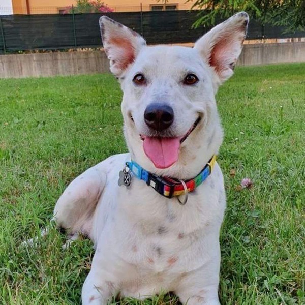 Max&Molly カラフルブロック