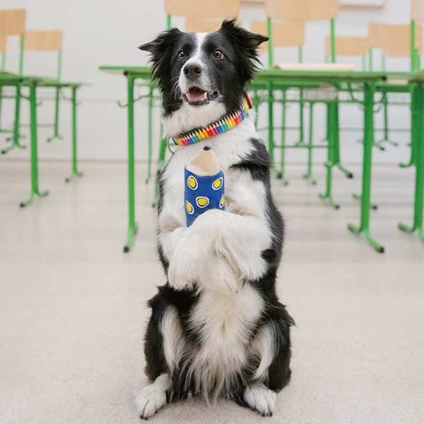 Max&Molly クレヨン