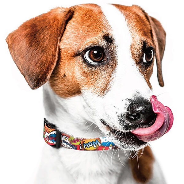 Max&Molly ヒーロー