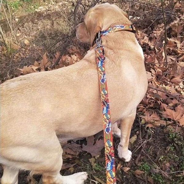 Max&Molly ヒーロー