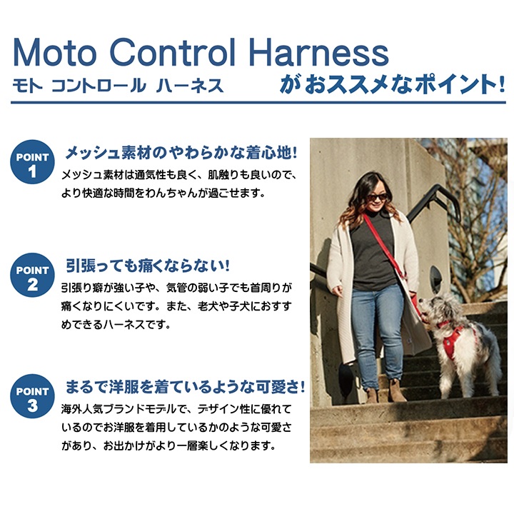 RC Moto Control Harness