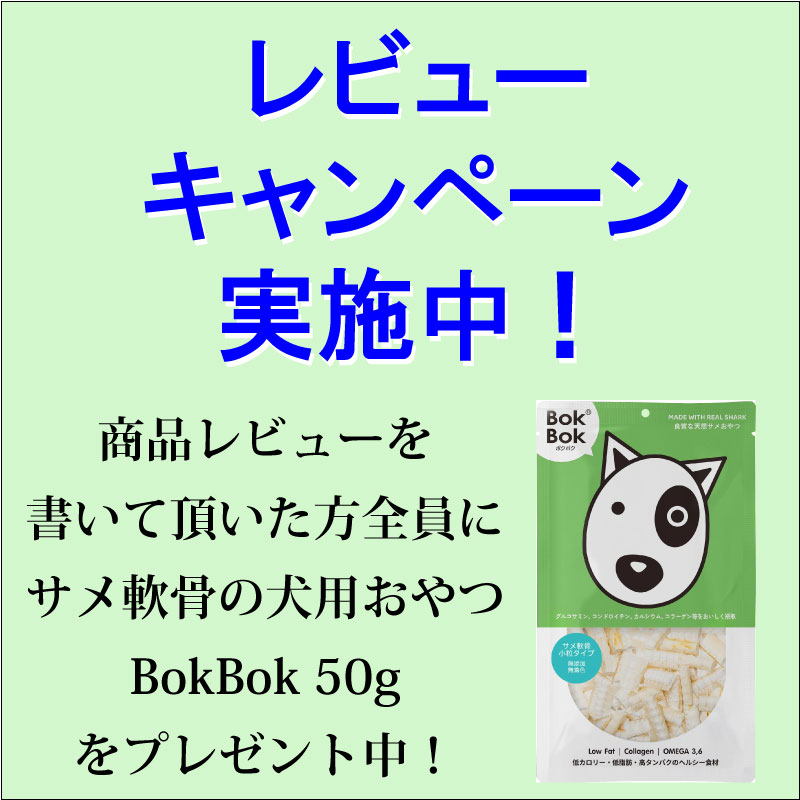 レビュープレゼント