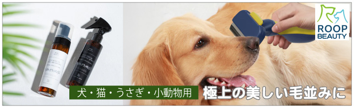 ROOPビューティー