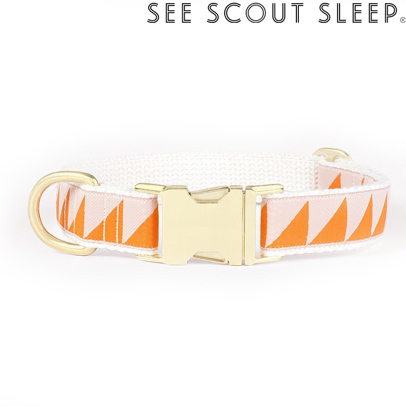 SeeScout Sleep NiceGrill 首輪