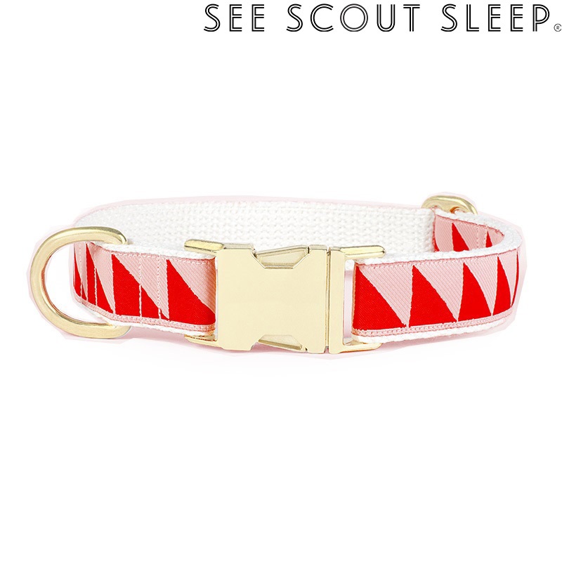 SeeScout Sleep NiceGrill 首輪