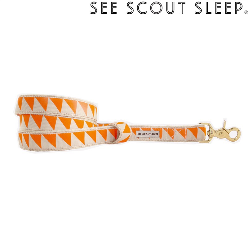 SeeScout Sleep NiceGrill スタンダードリード