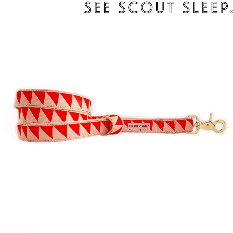 SeeScout Sleep NiceGrill スタンダードリード