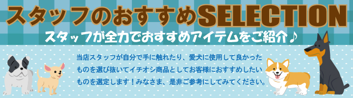 スタッフのおすすめメイン