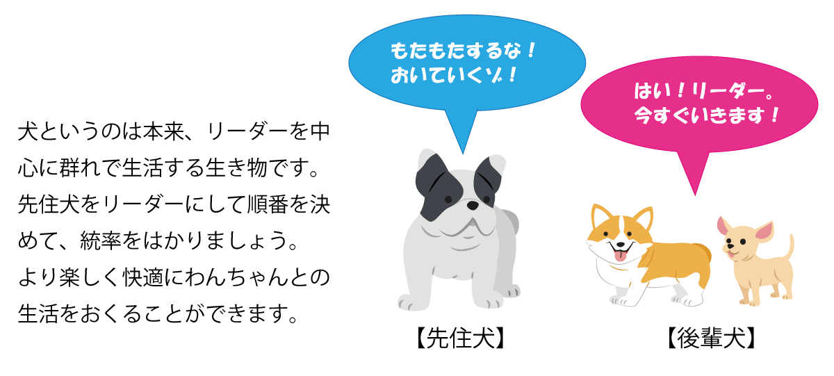 多頭飼いのポイント