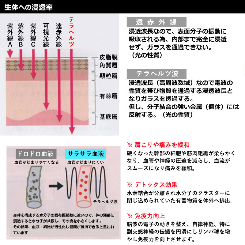 生体への浸透率